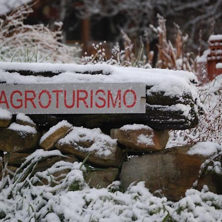 Hotel Agroturismo Iabiti-Aurrekoa Zamudio Exterior photo